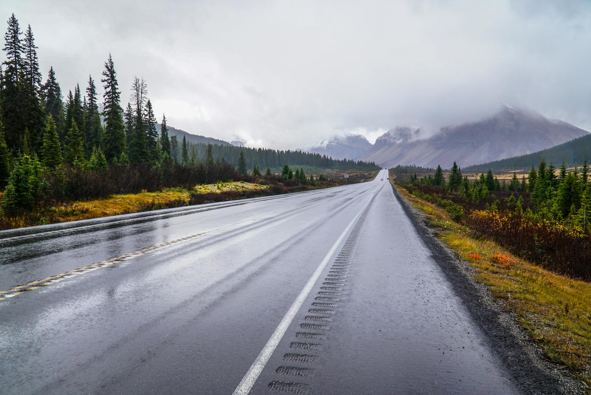 Wet mountain road in Banff National Park.