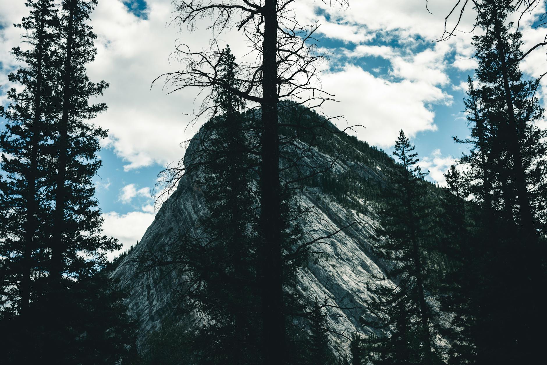 Majestic mountain peak through trees in Banff National Park, Alberta, Canada.