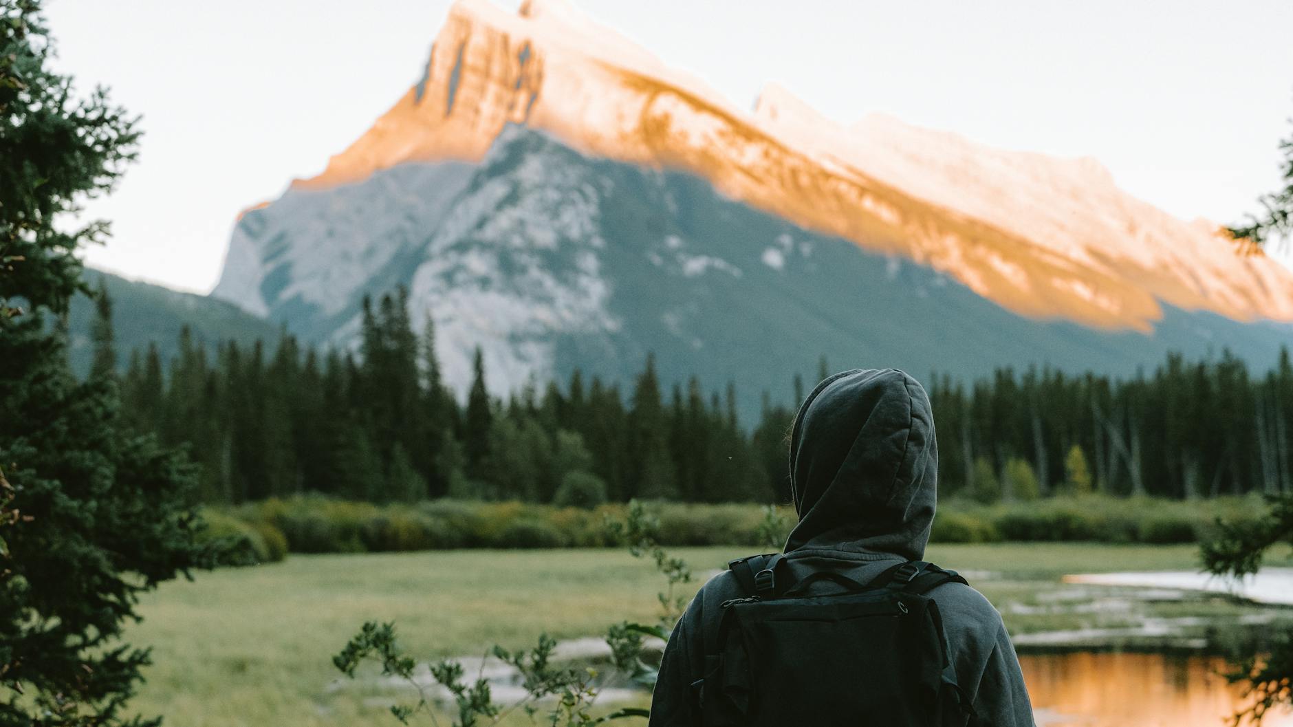 A hiker gazes at a mountain in Banff National Park at sunrise, surrounded by nature.