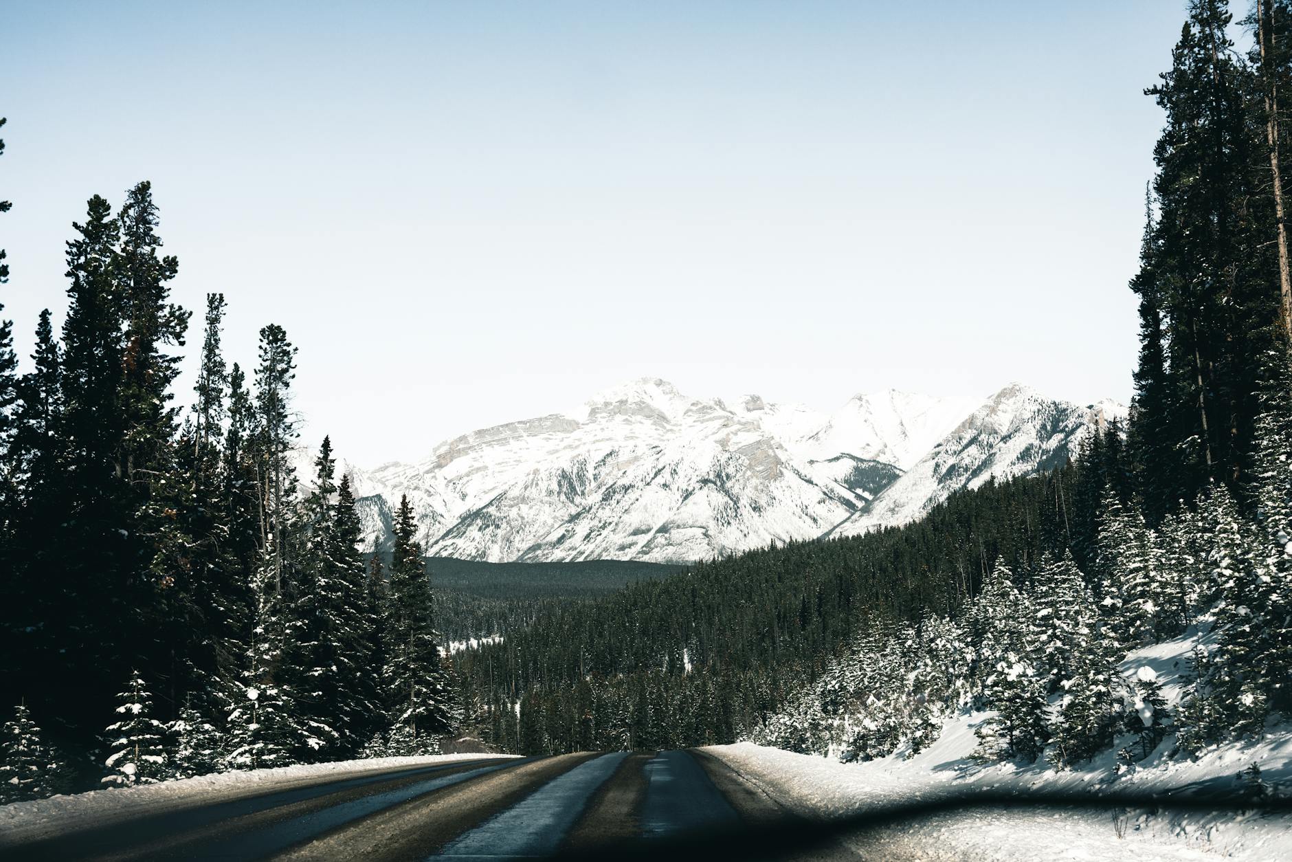 Snow-covered road with pine trees leading to stunning mountain peaks in Banff National Park.