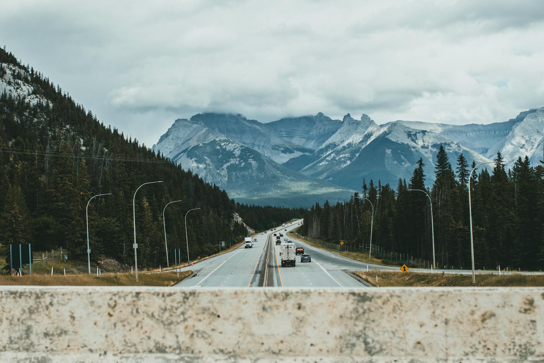 Long road flanked by trees leads to majestic snowcapped mountains under cloudy skies.