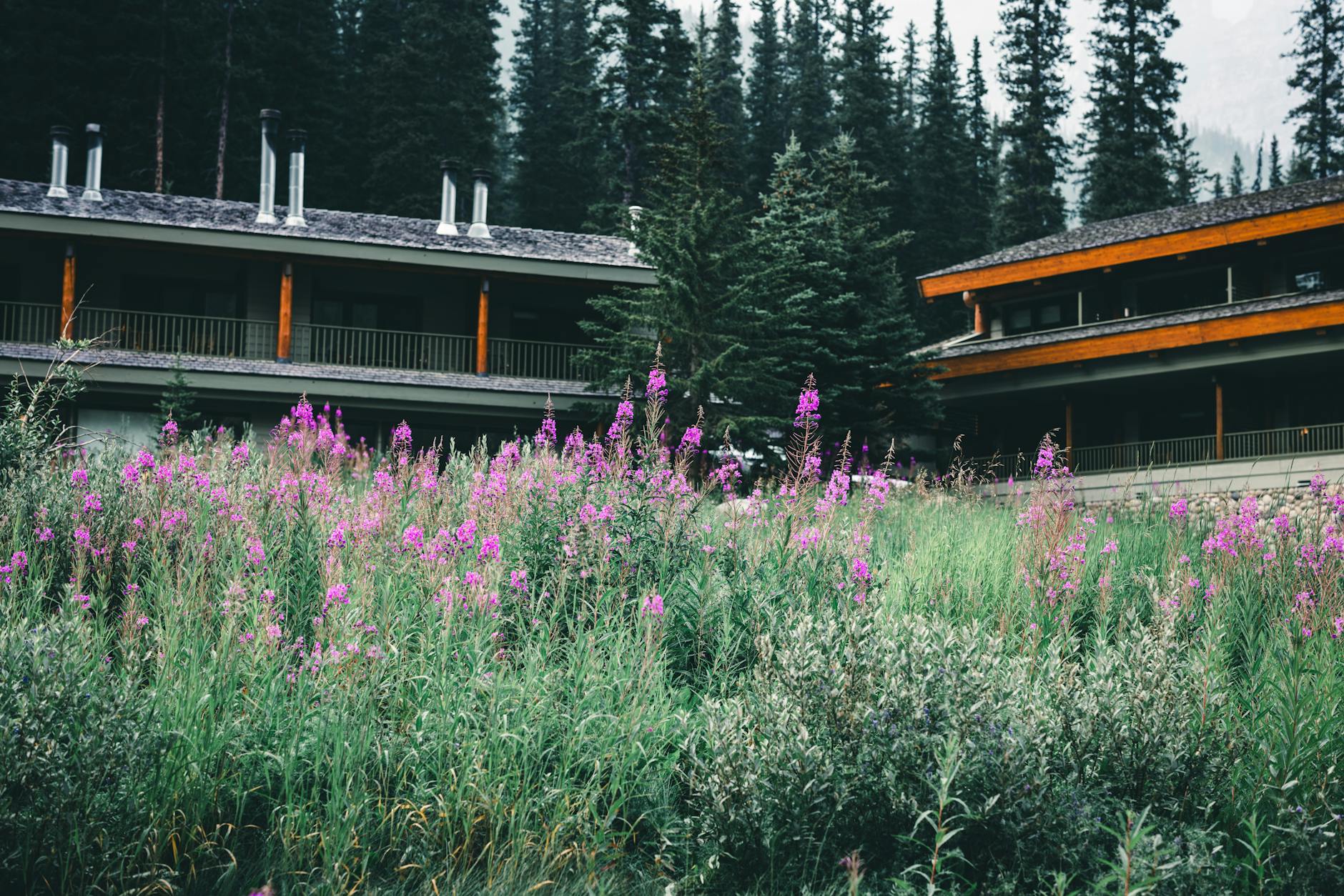 Beautiful lodge with wildflowers in Banff National Park, Alberta, Canada.