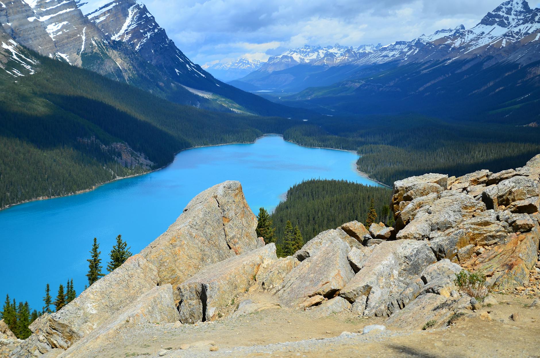 A breathtaking view of Peyto Lake surrounded by the Canadian Rockies in Banff National Park.