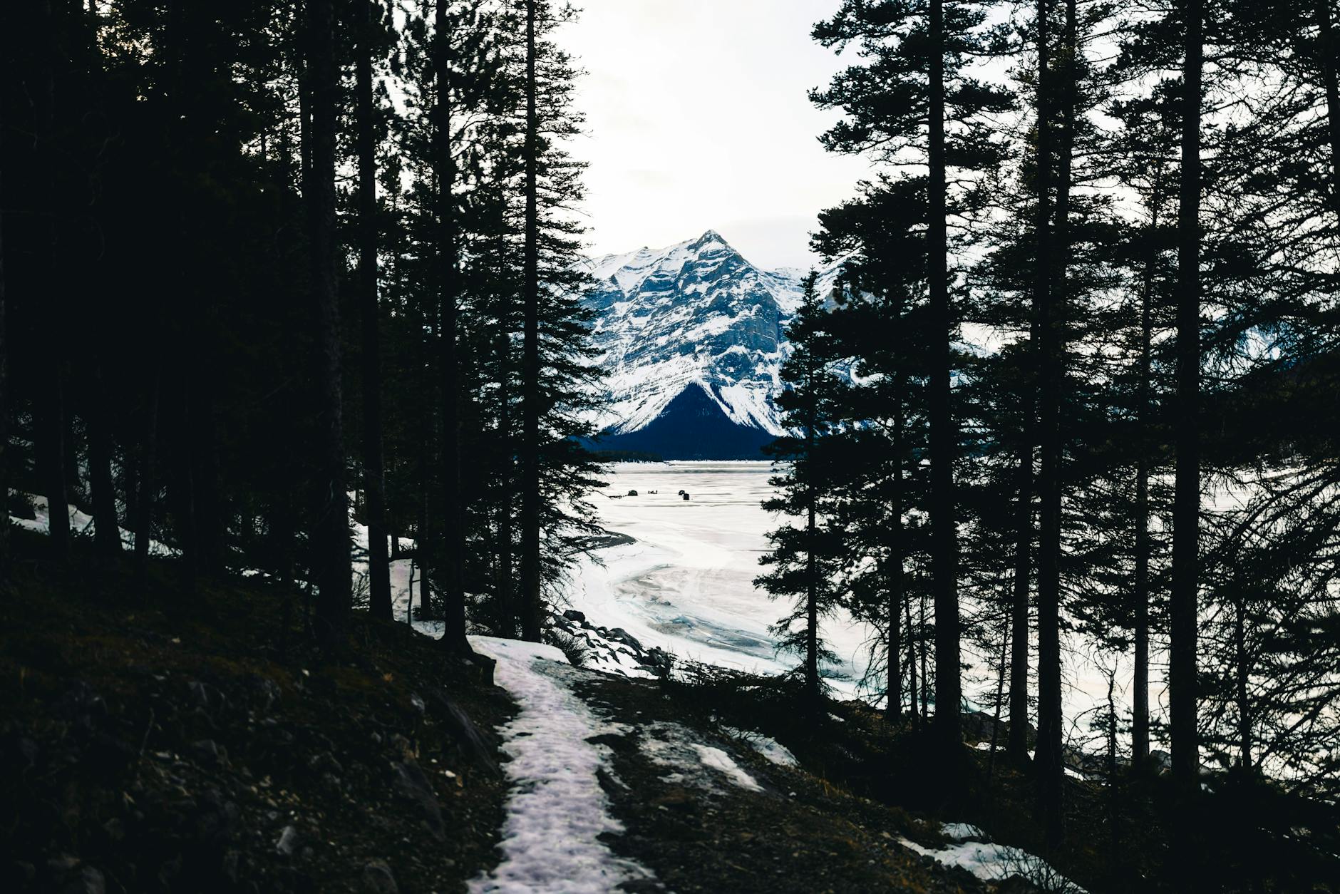 Discover the serene beauty of a snowy trail amidst Banff's majestic landscapes.