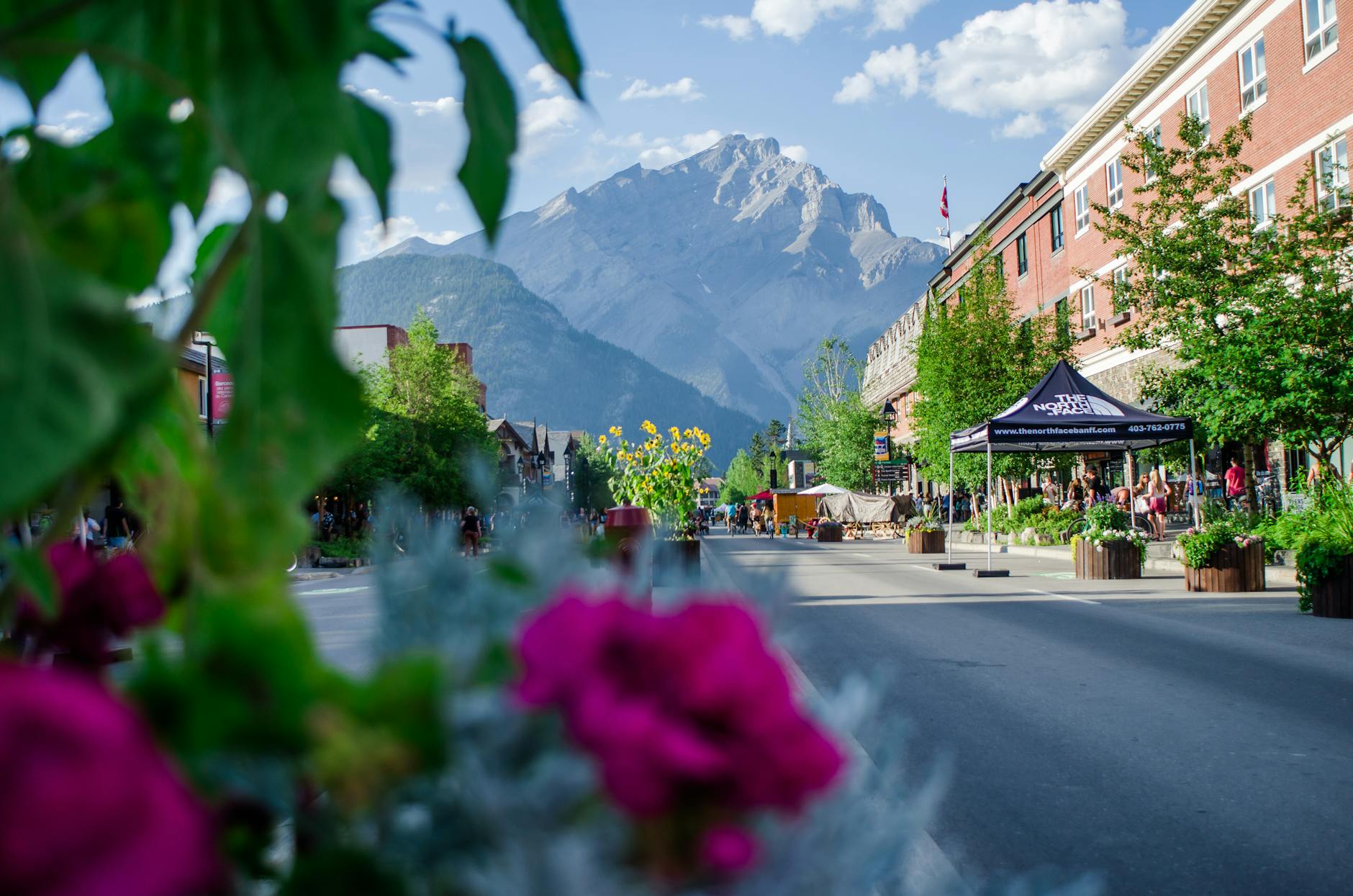Scenic street in a mountain town with colorful flowers and a majestic mountain backdrop.