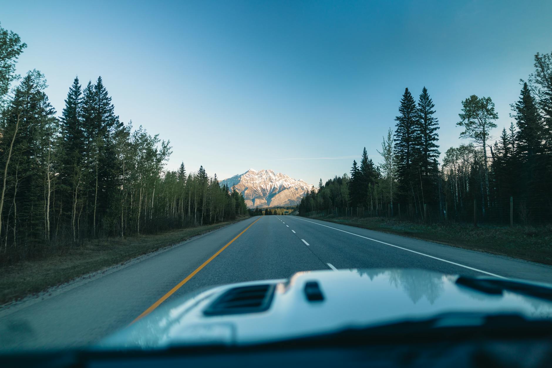 A breathtaking drive through Banff National Park with mountain views and towering trees.