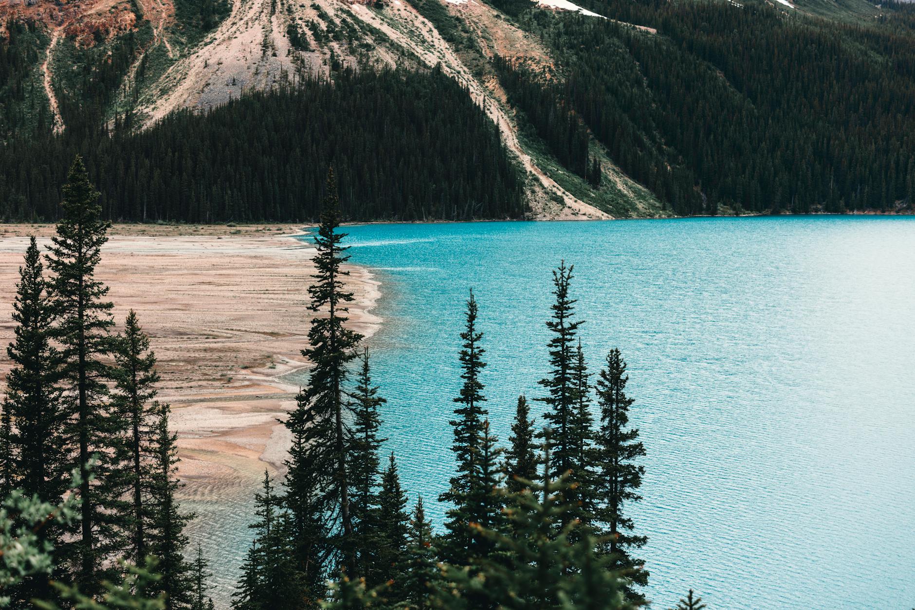Gorgeous view of a turquoise lake and lush forest in Banff, Canada, during daylight.