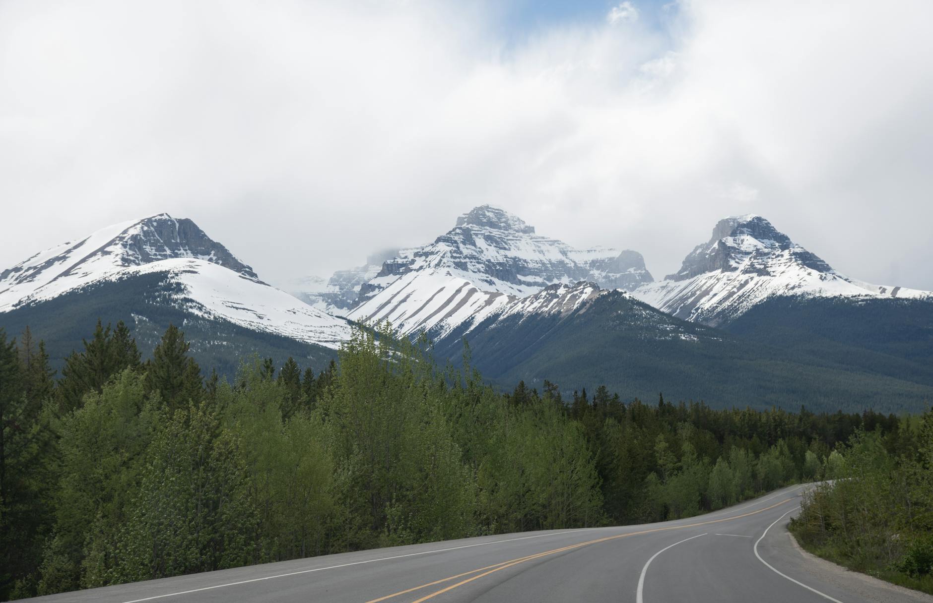 View of snow-capped Rocky Mountains and winding road in spring forest.