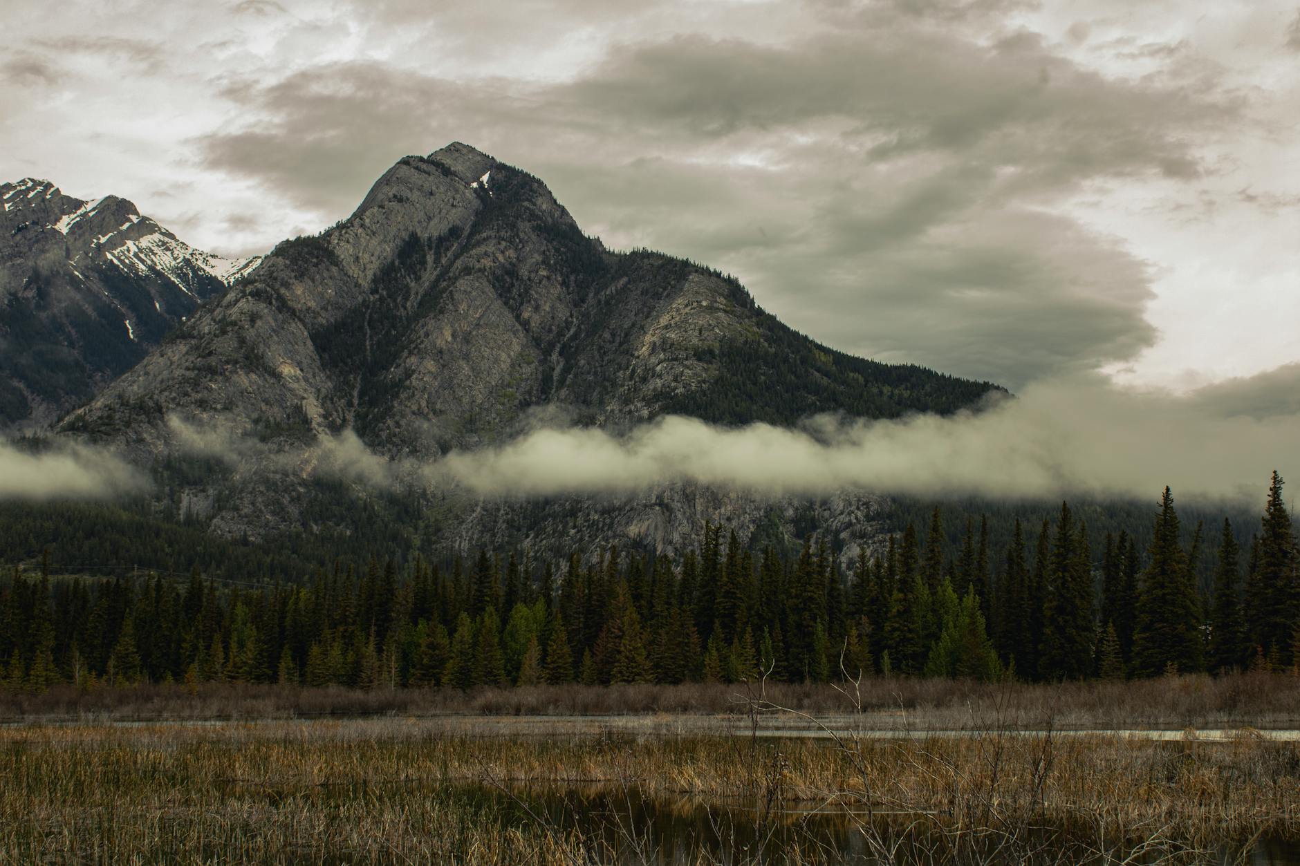 Dramatic view of misty Rocky Mountains with a lush forest foreground.