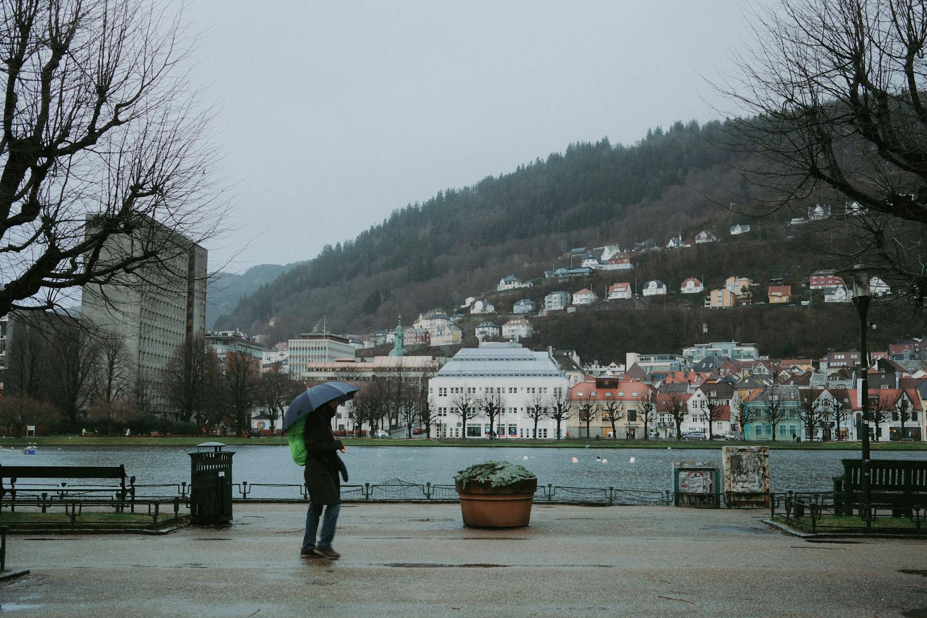 Rainy Bergen street for business weather planning.