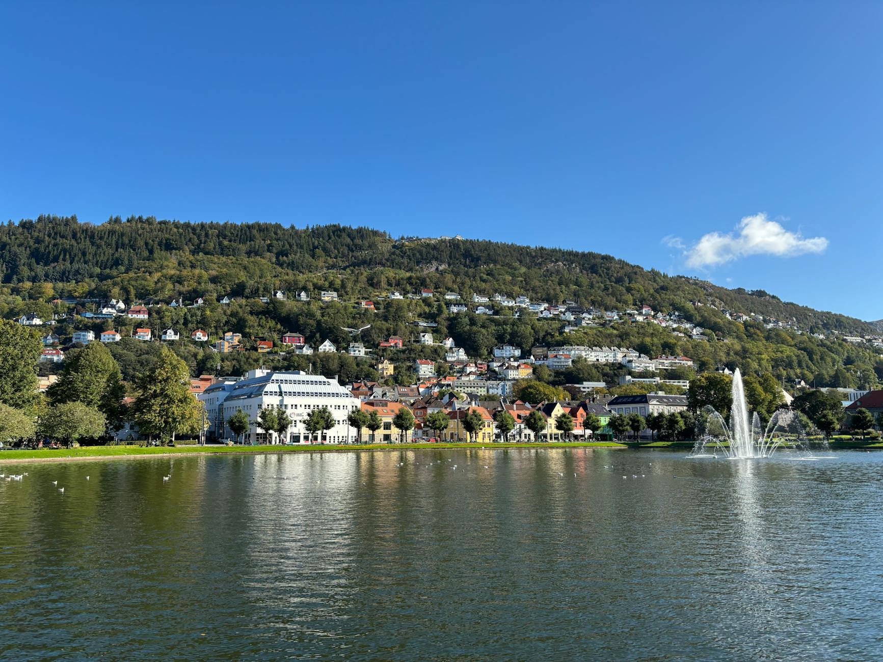 Bergen lakefront and hillside view for conference lodging planning.