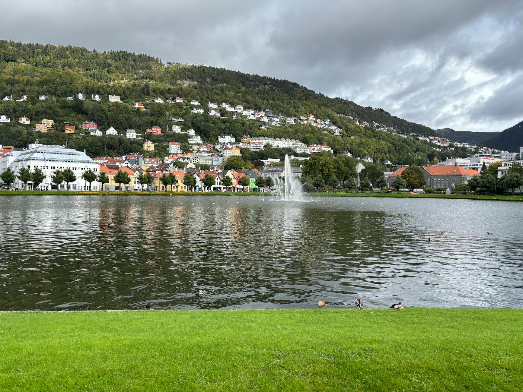 Bergen waterside and colorful houses for consultant client-site mapping.