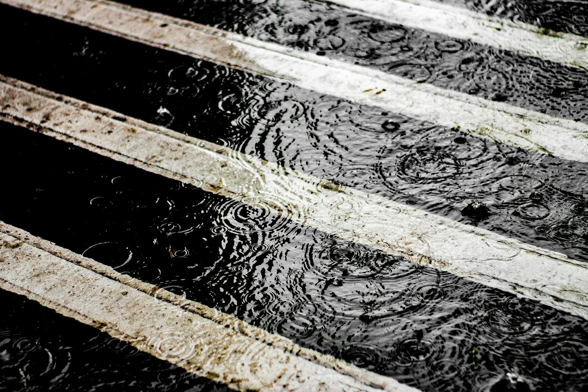 Rain on a wet crosswalk for consultant weather planning.
