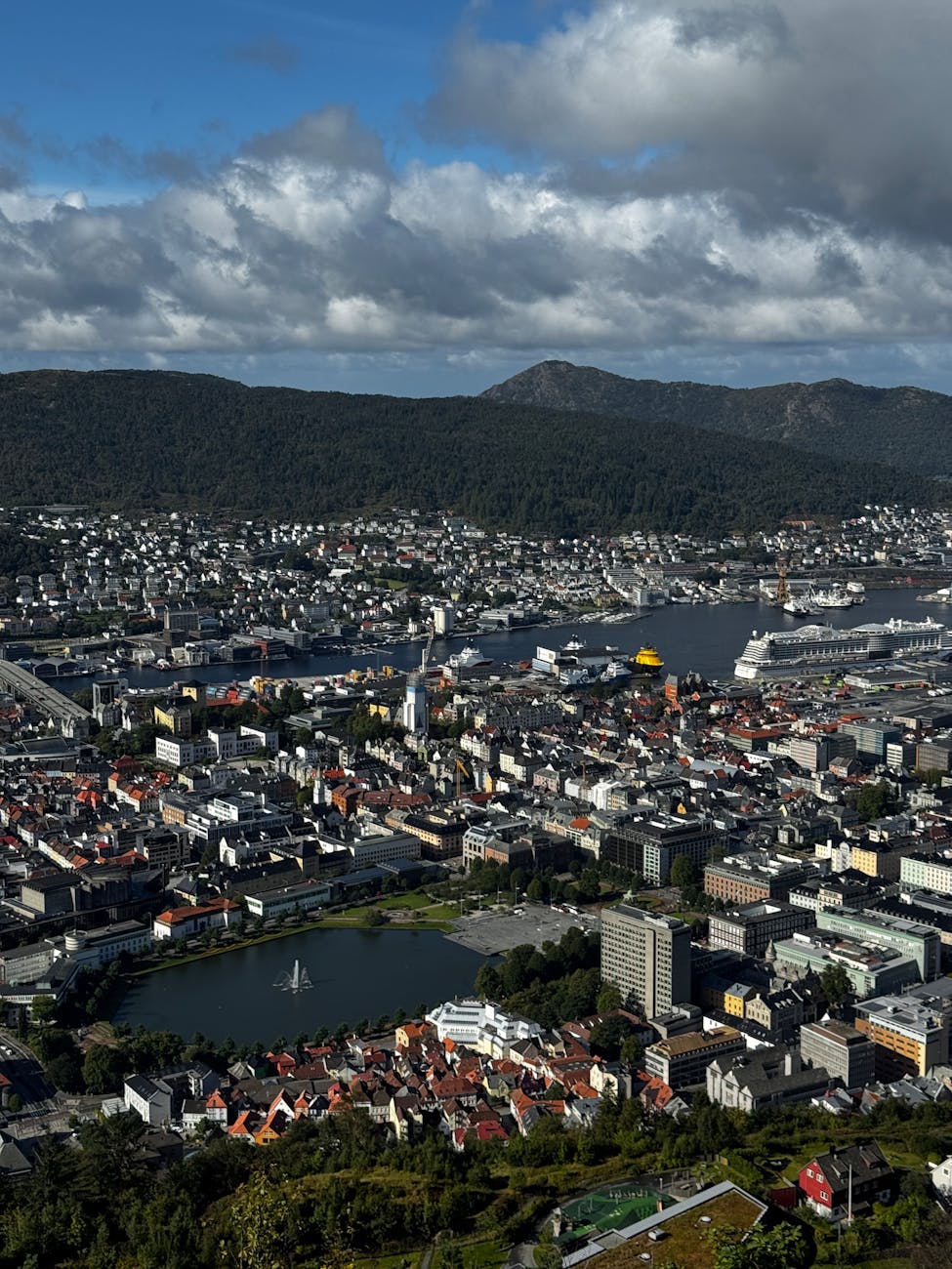 Bergen harbor and cityscape for pier-location planning.