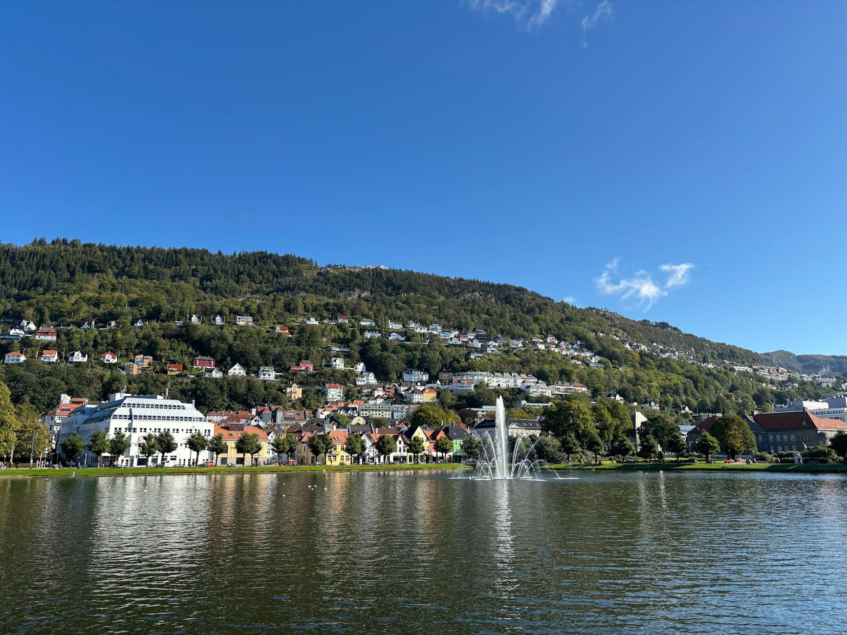 Bergen cityscape with lake and fountain for diligence map planning.