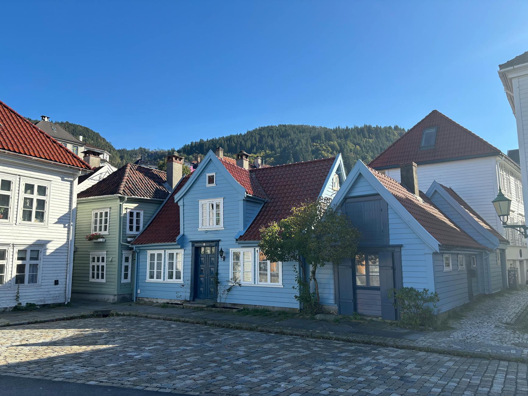 Bergen wooden houses for investor meal planning.
