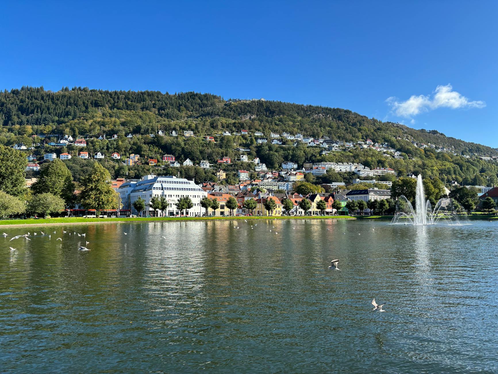 Bergen cityscape and lake for sales arrival planning.