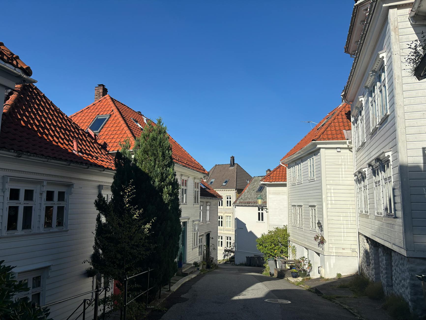 Bergen street with traditional houses for sales rain planning.