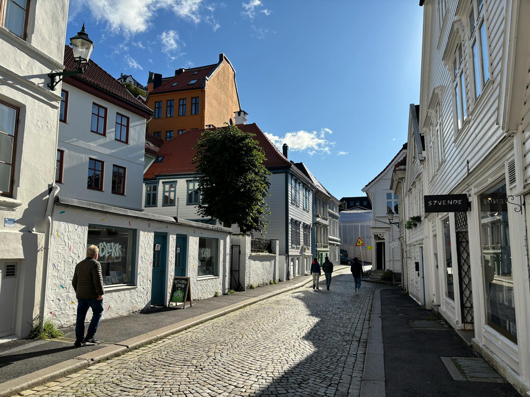 Bergen cobblestone street for solo traveler base planning.