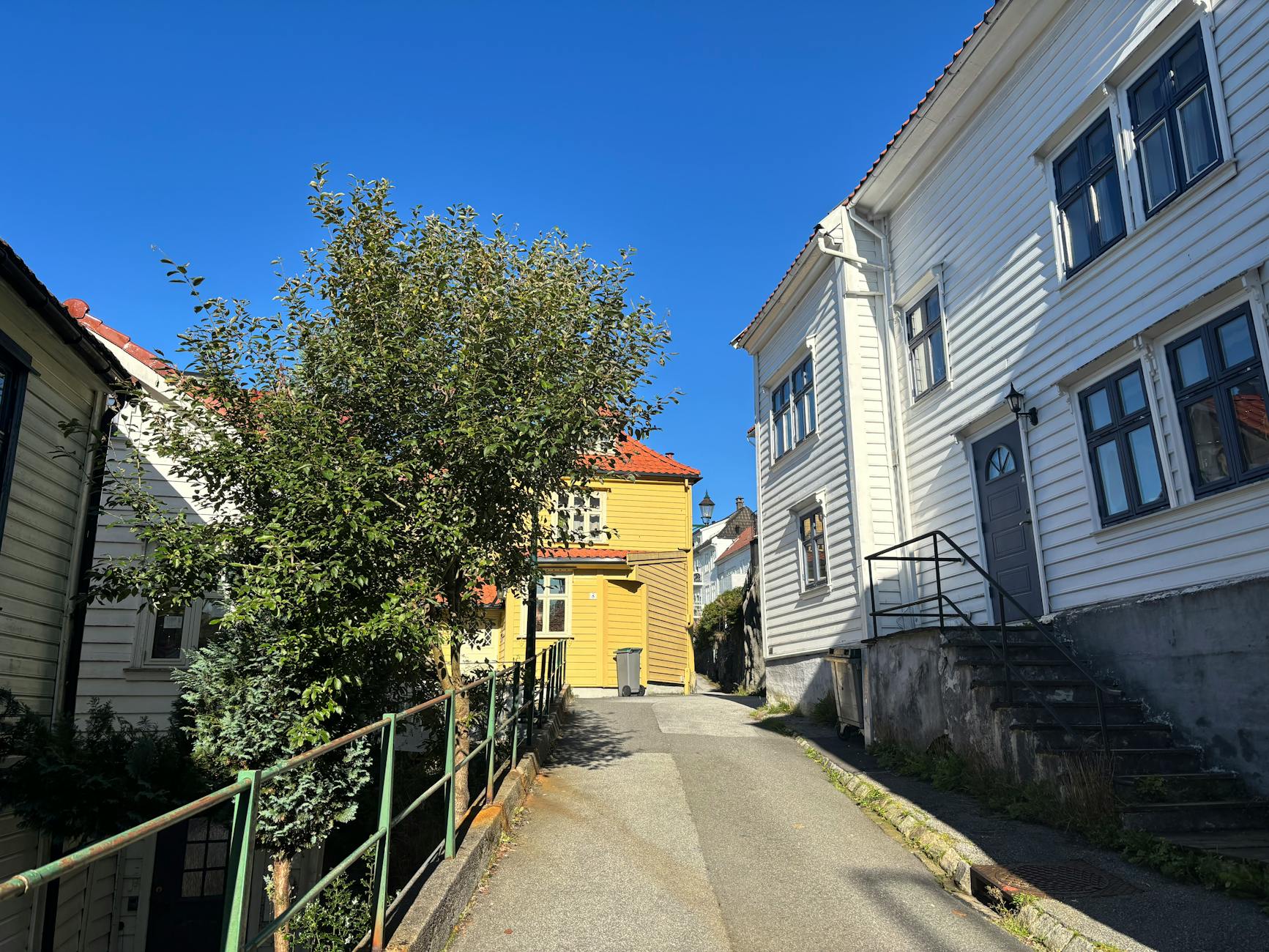 Bergen alleyway for short student program report planning.