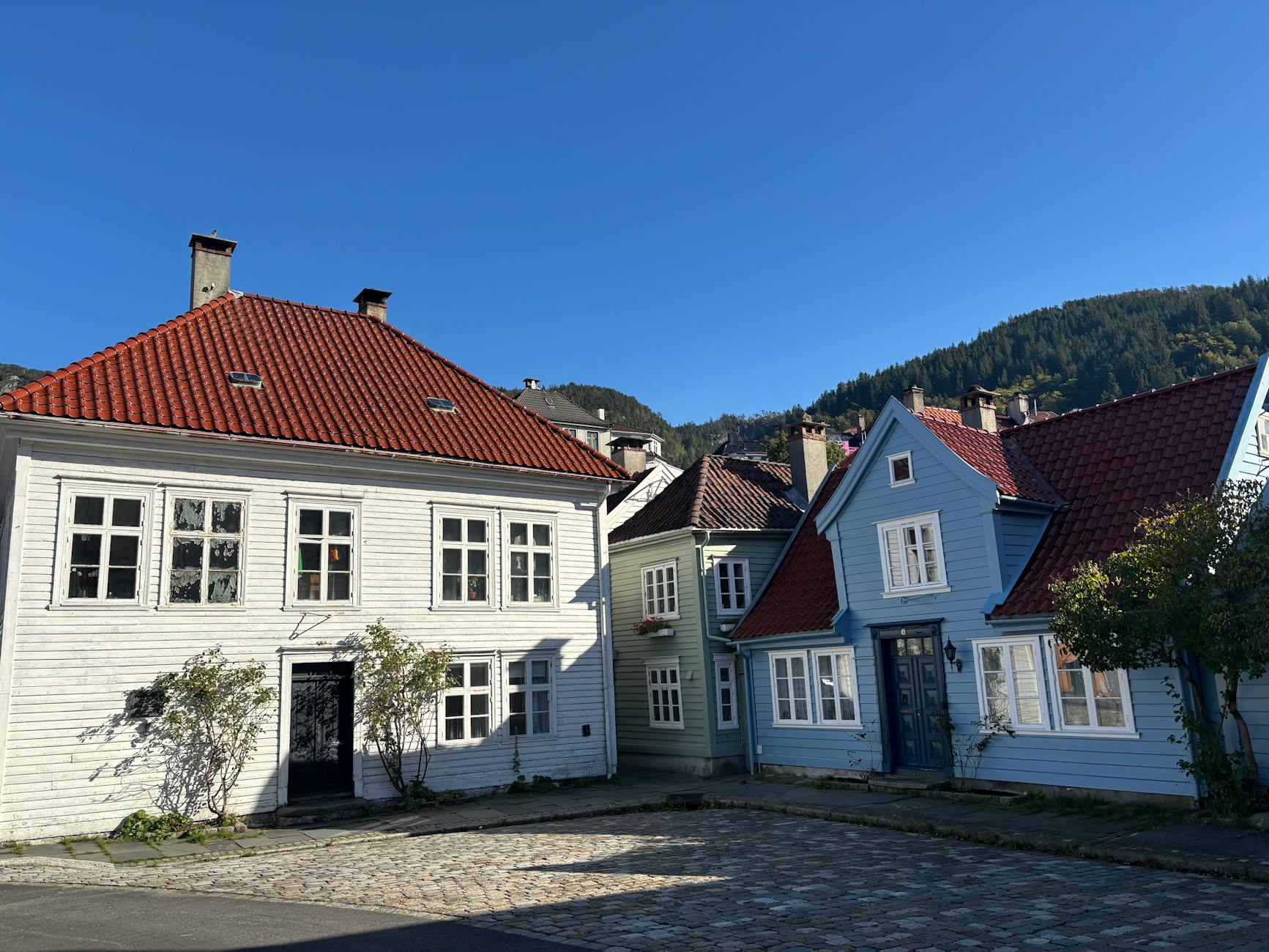 Traditional houses in Bergen for student program location planning.