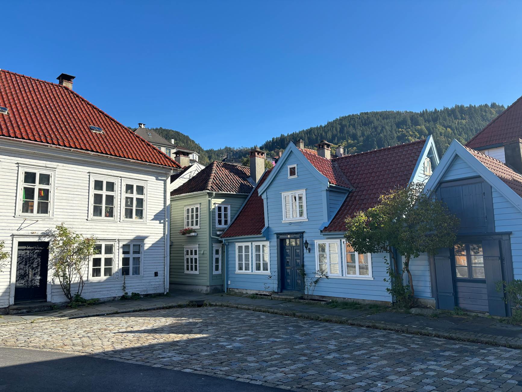 Bergen houses under clear sky for student orientation planning.