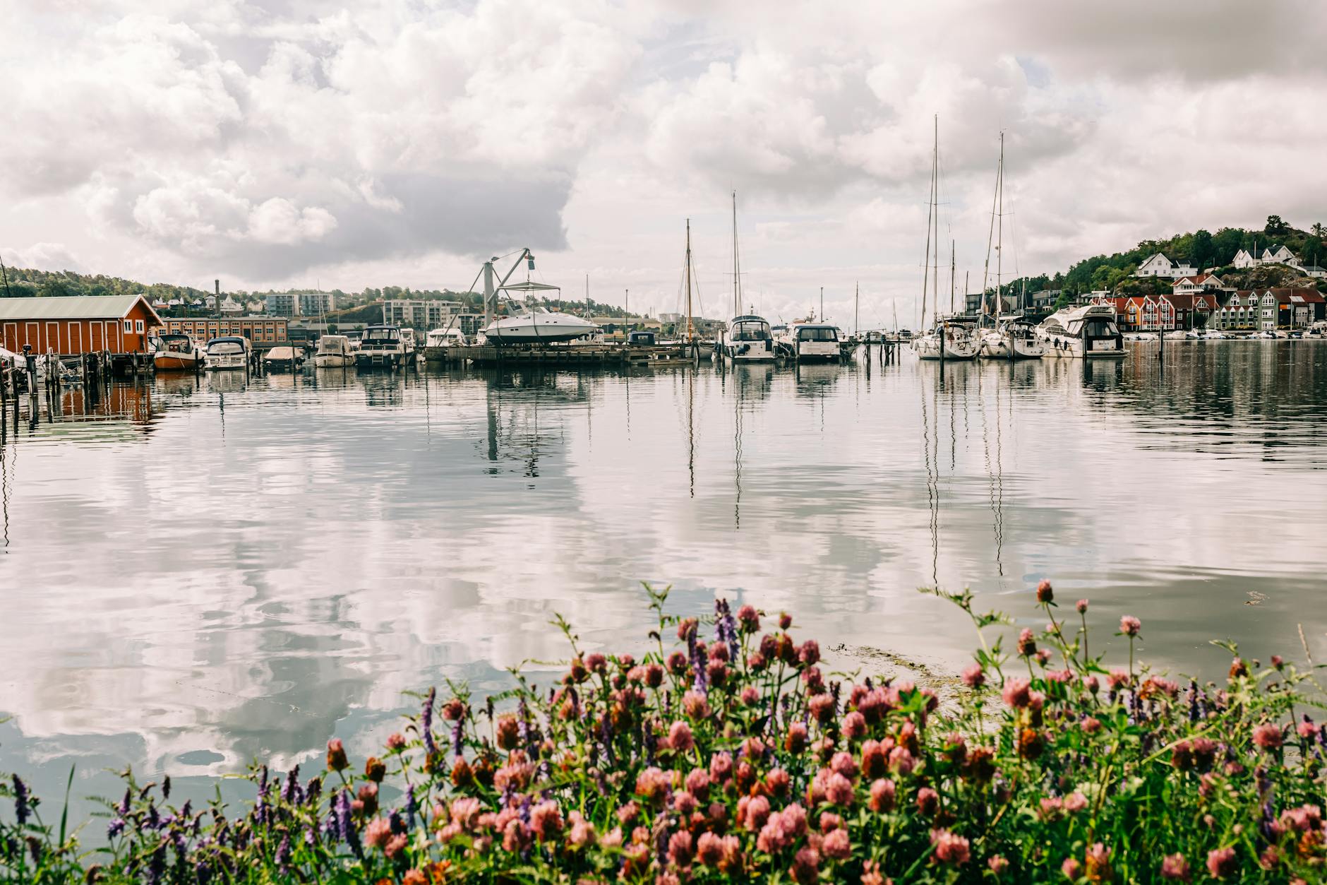 Bergen marina and urban backdrop for NGO project geography planning.