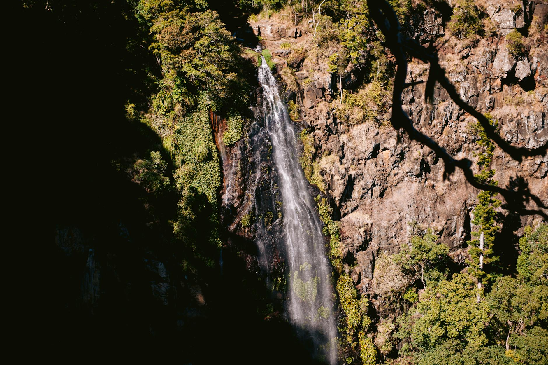 Lamington National Park waterfall for Brisbane outdoor recovery planning.