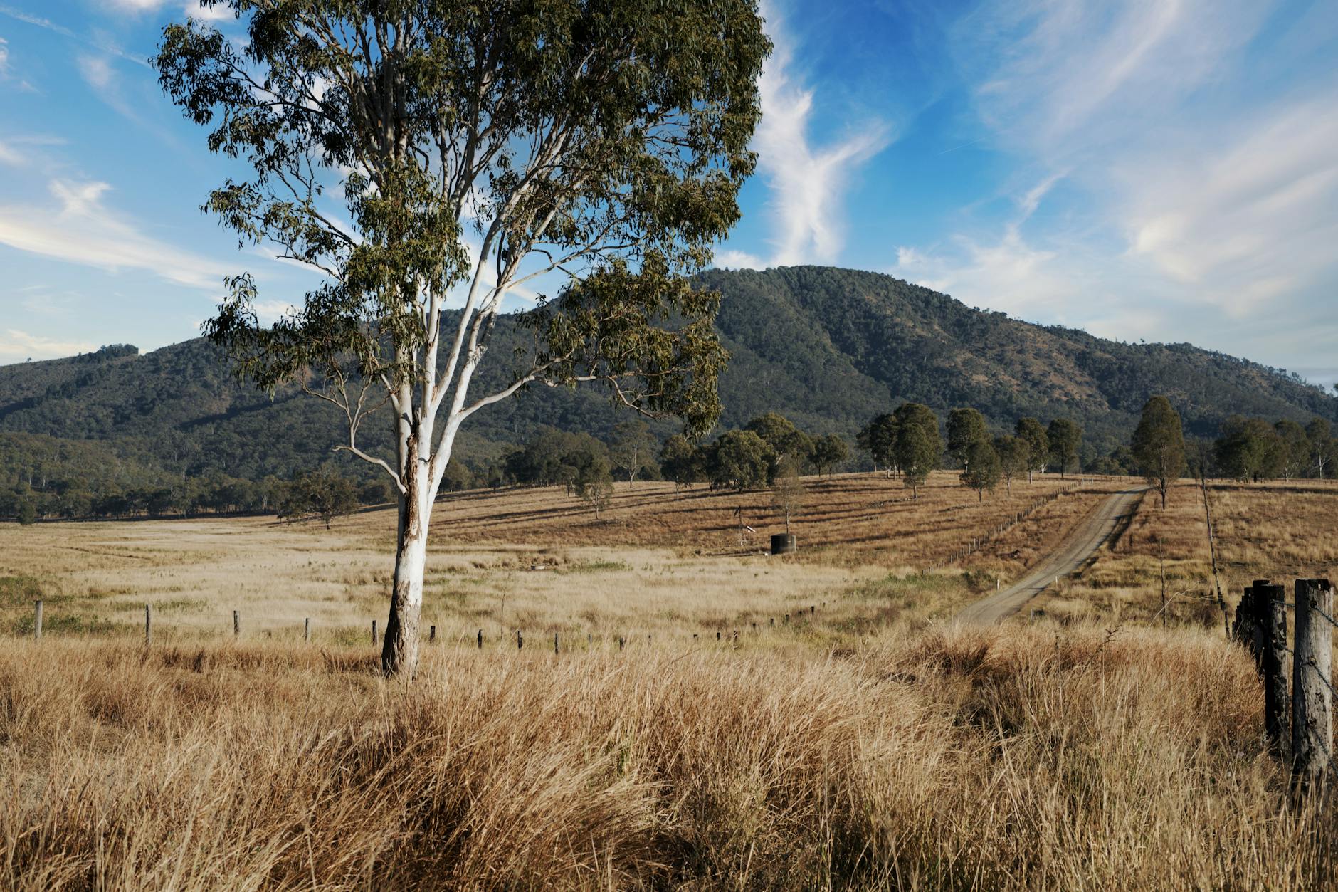 Rural Brisbane road and hills for outdoor travel planning.