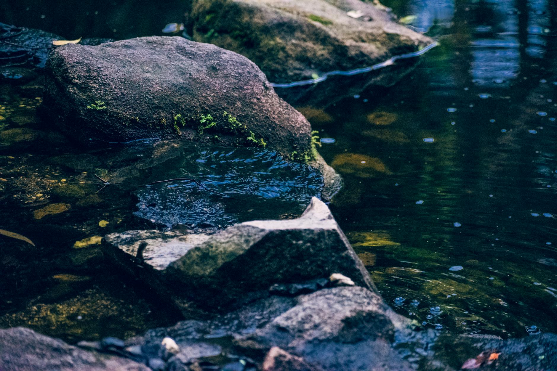 Rocky creek at Mount Coot-tha for Brisbane outdoor route planning.