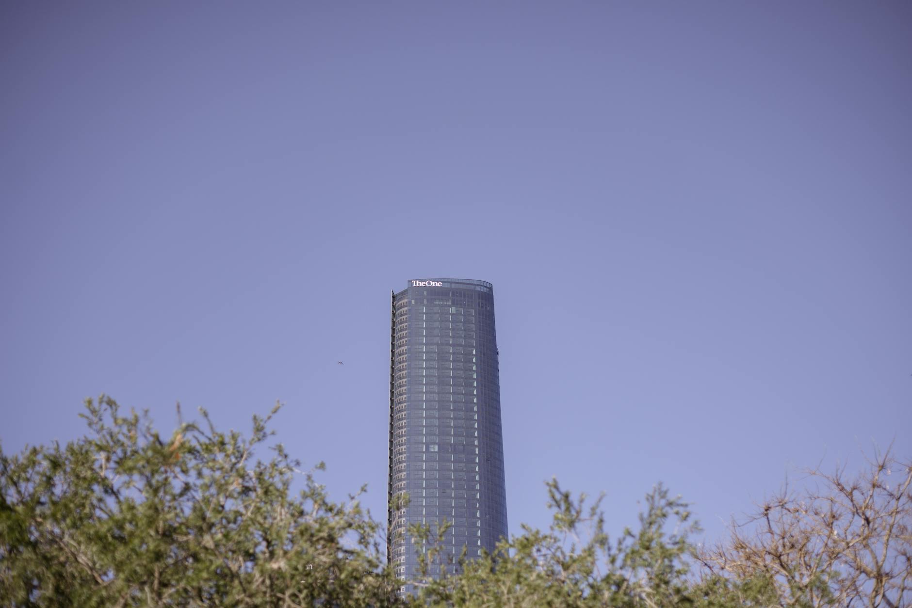 The One Tower in Brisbane for conference hotel and business-district planning.