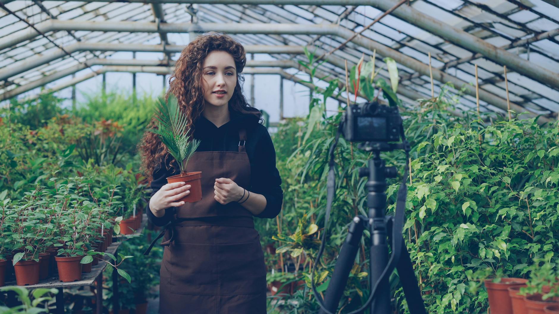 Creator filming a plant tutorial for Brisbane indoor backup planning.