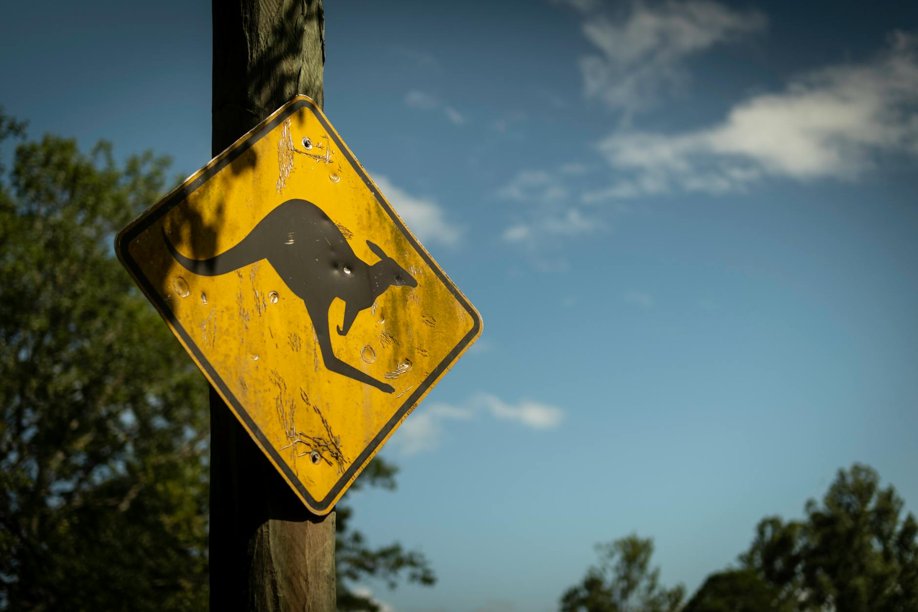 Kangaroo crossing sign in Brisbane for tourist day-trip planning.