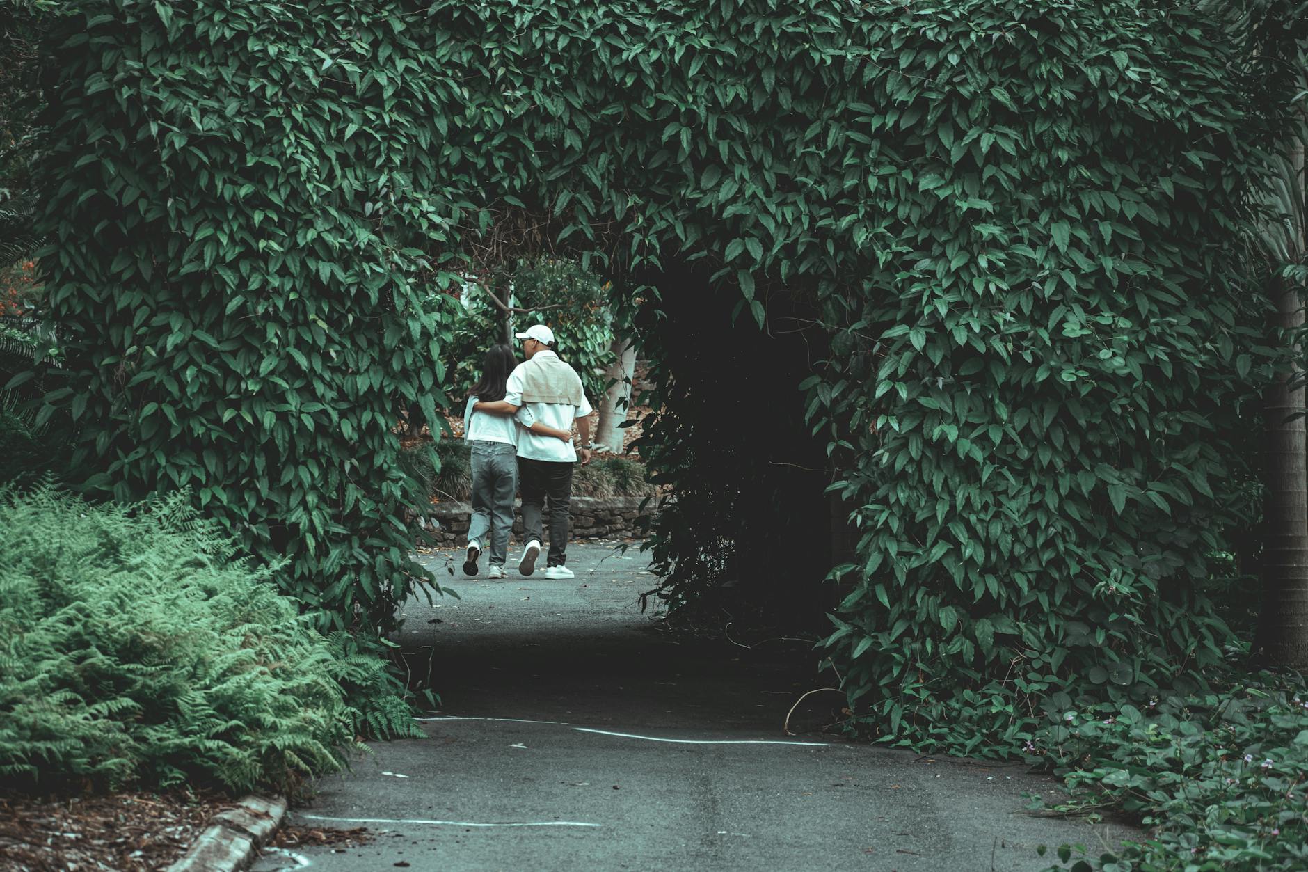 Leafy garden walkway for Brisbane medical-constraint report planning.