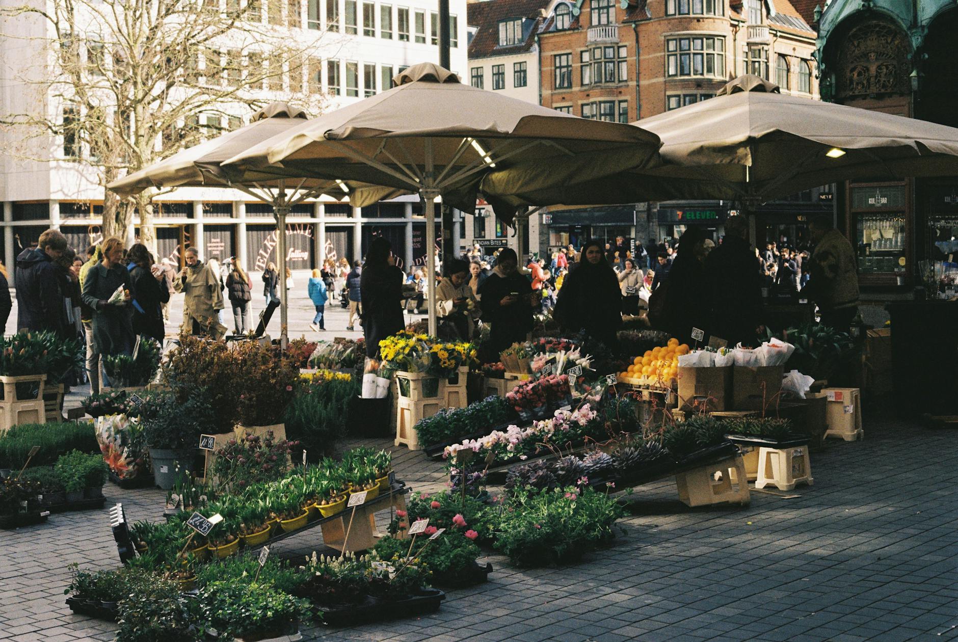 Busy Copenhagen flower market for sales traveler route planning.