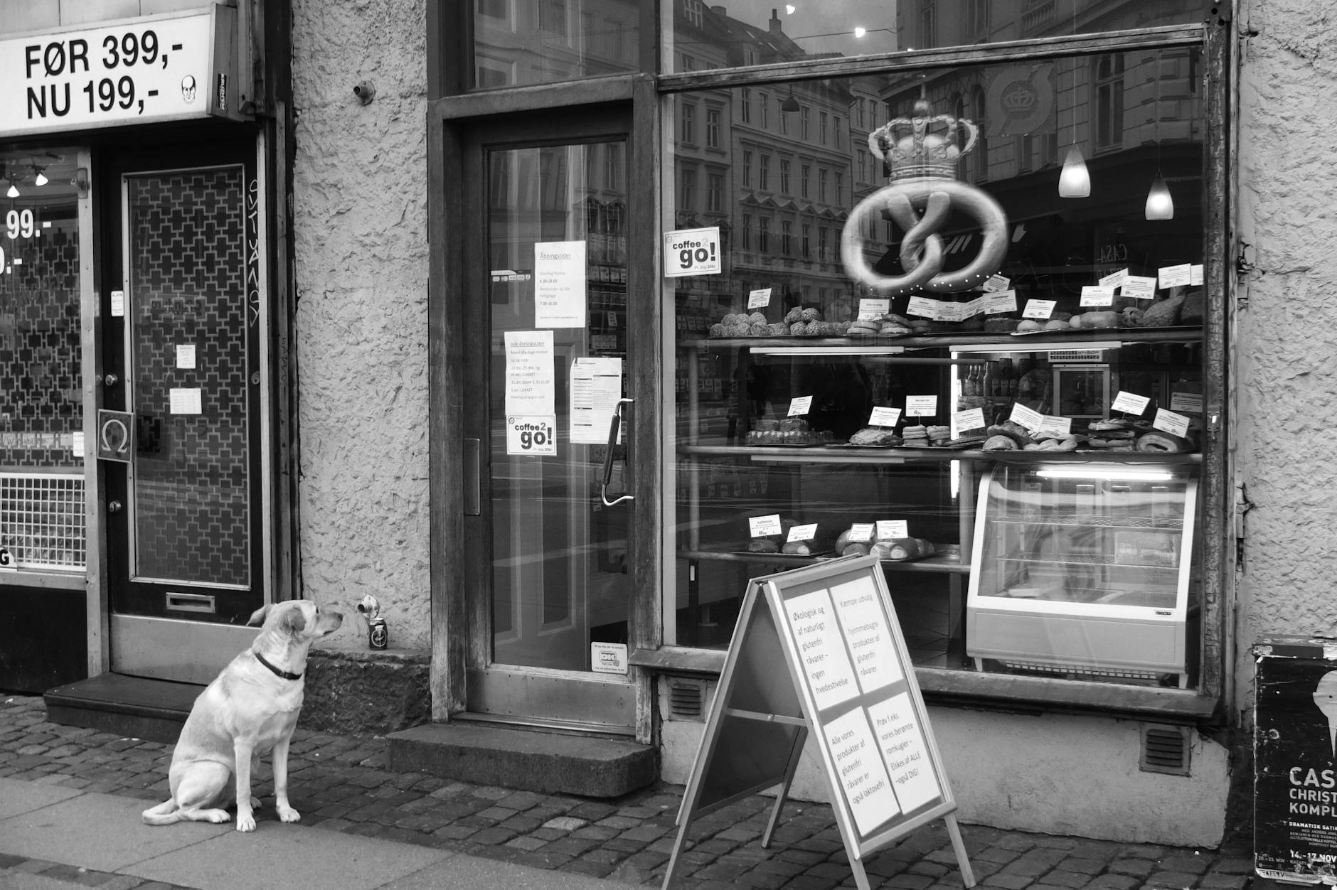 Copenhagen bakery storefront for tourist meal planning.