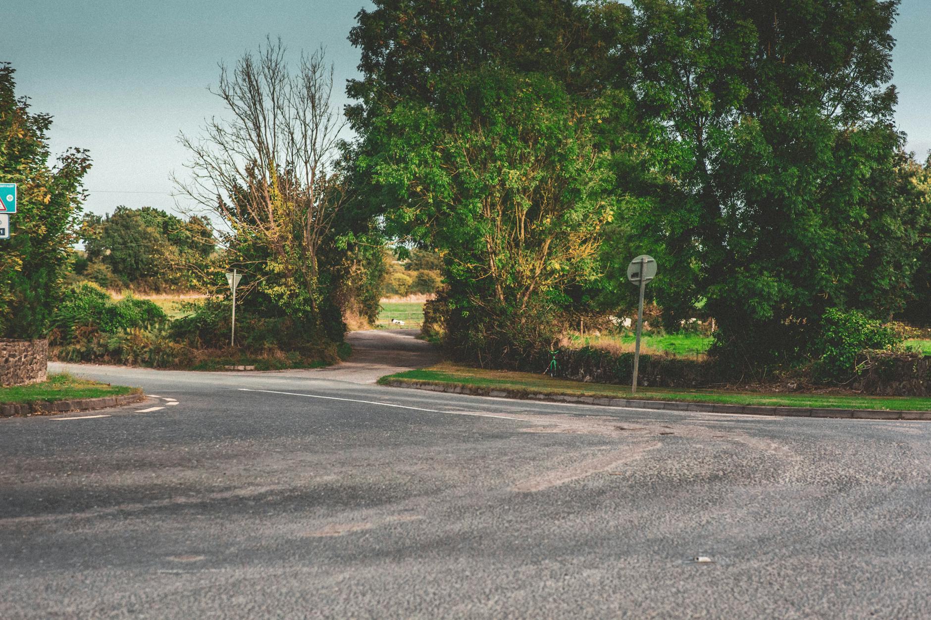 Explore the winding countryside roads surrounded by lush greenery in Cork, Ireland.