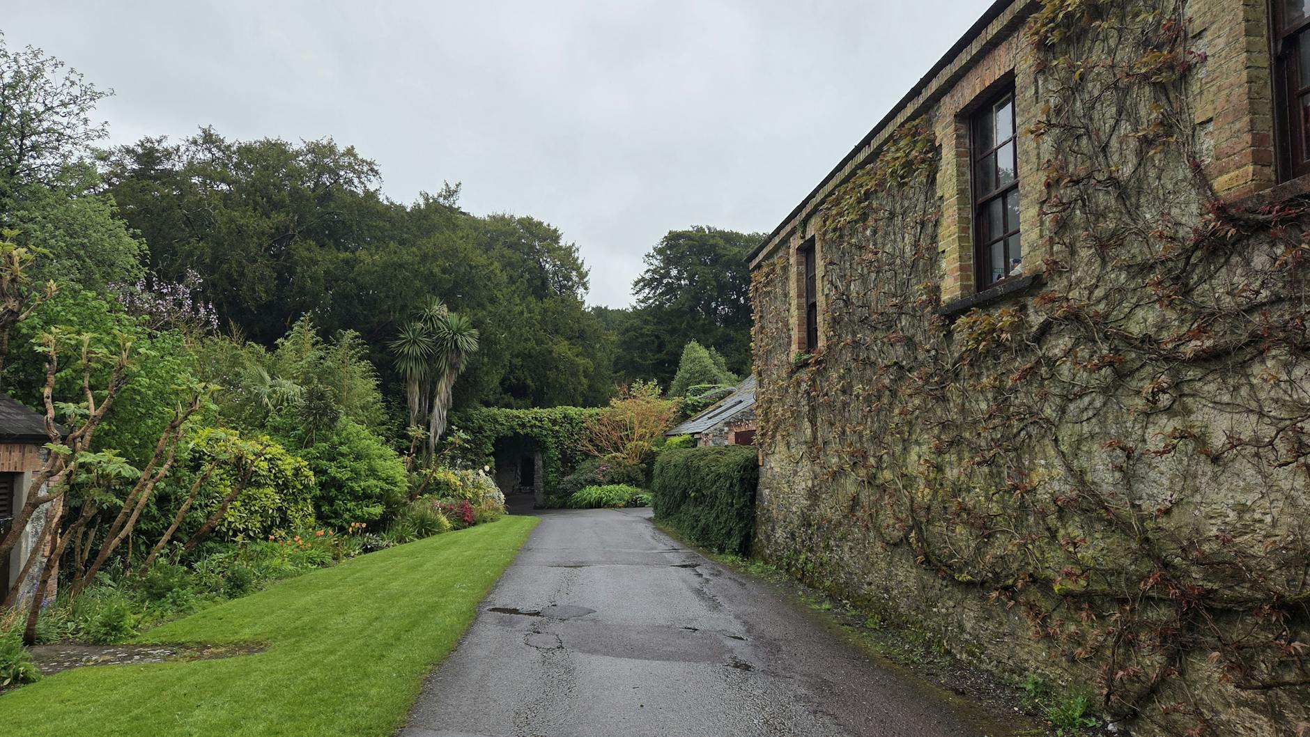 Serene garden pathway with ancient stone wall and lush greenery in County Cork, Ireland.