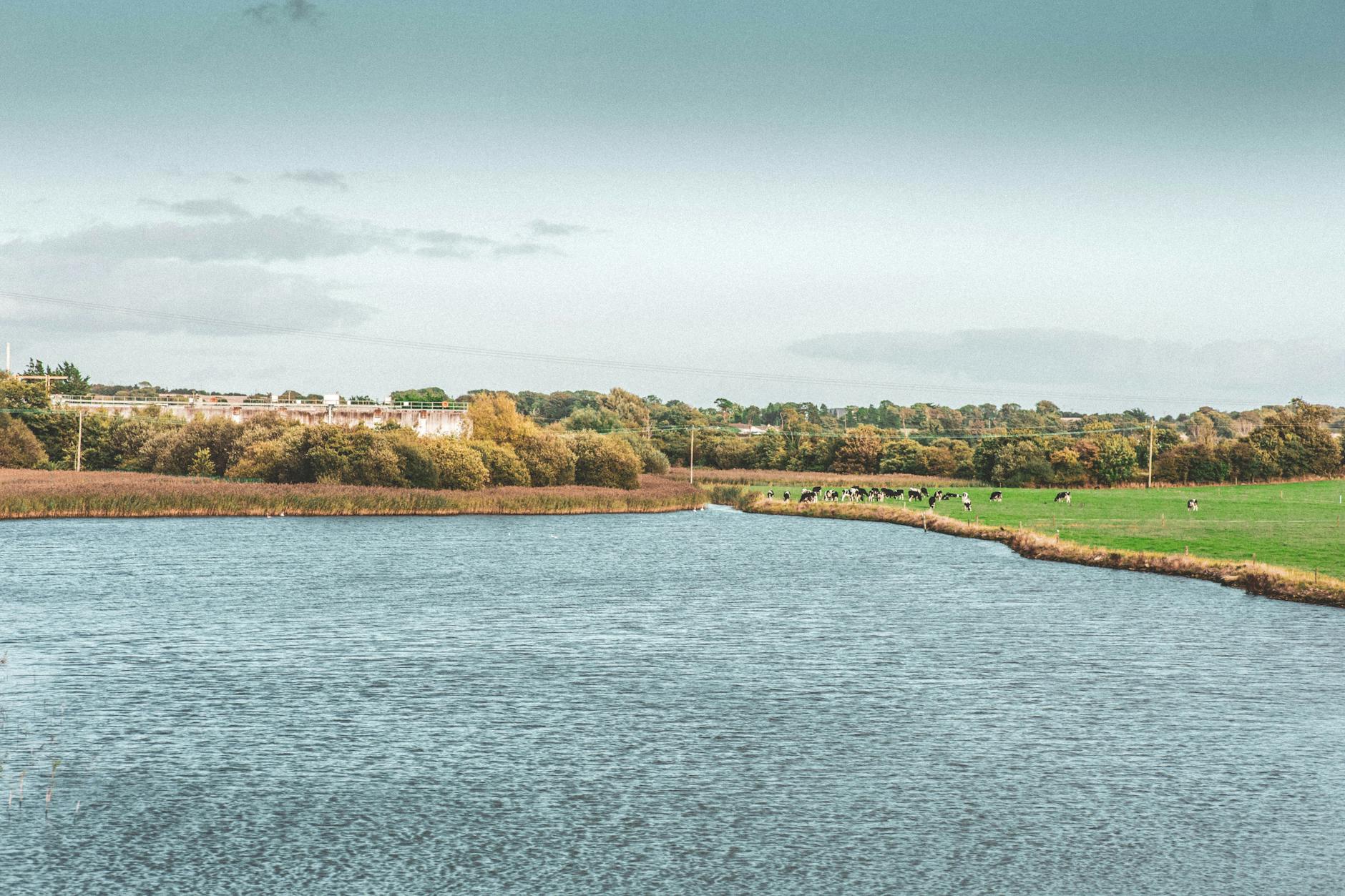 Idyllic river and countryside scene in County Cork, Ireland featuring lush greenery and serene waters.