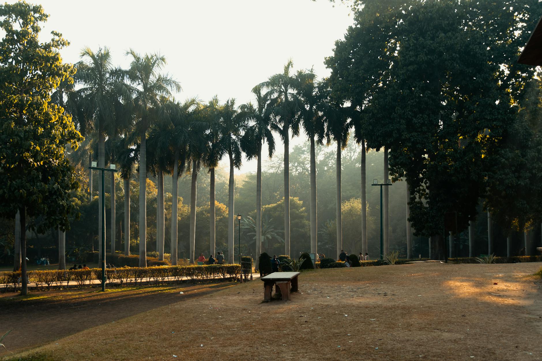 Delhi garden bench and palm trees for conference recovery and air-quality breaks.