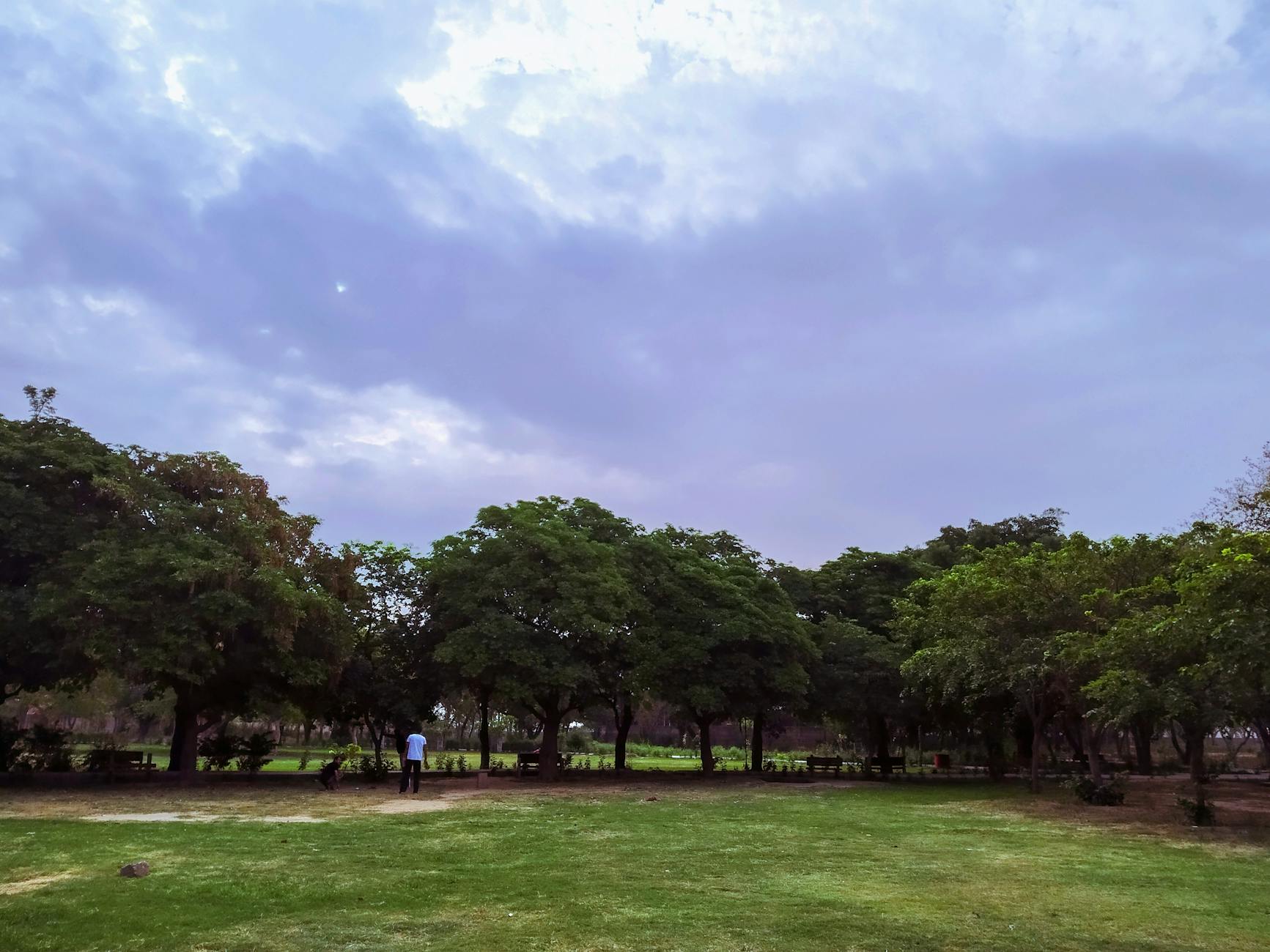 Green park in New Delhi for family pacing and recovery planning.