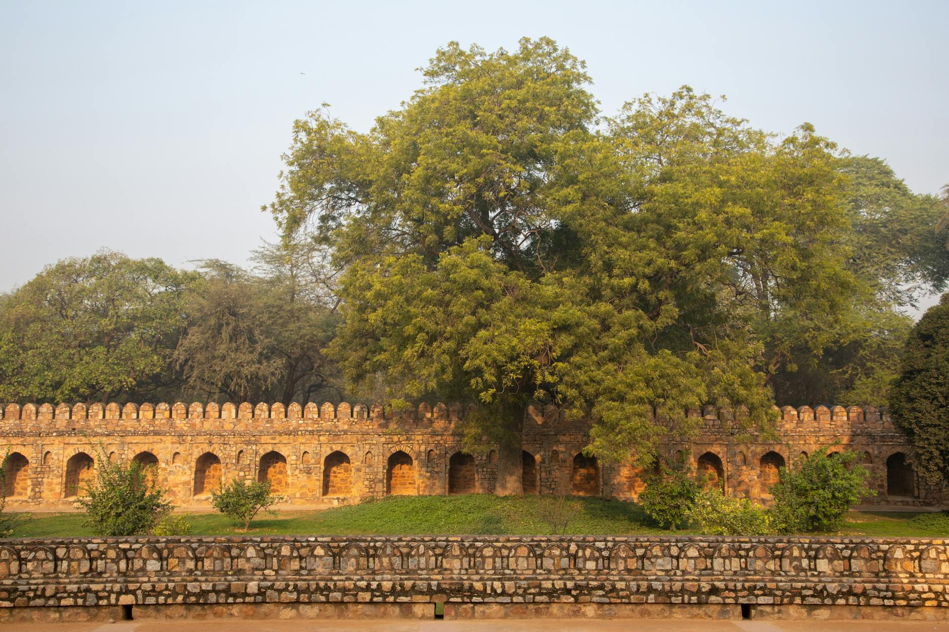 Lodhi Garden greenery in New Delhi for older traveler health and heat planning.