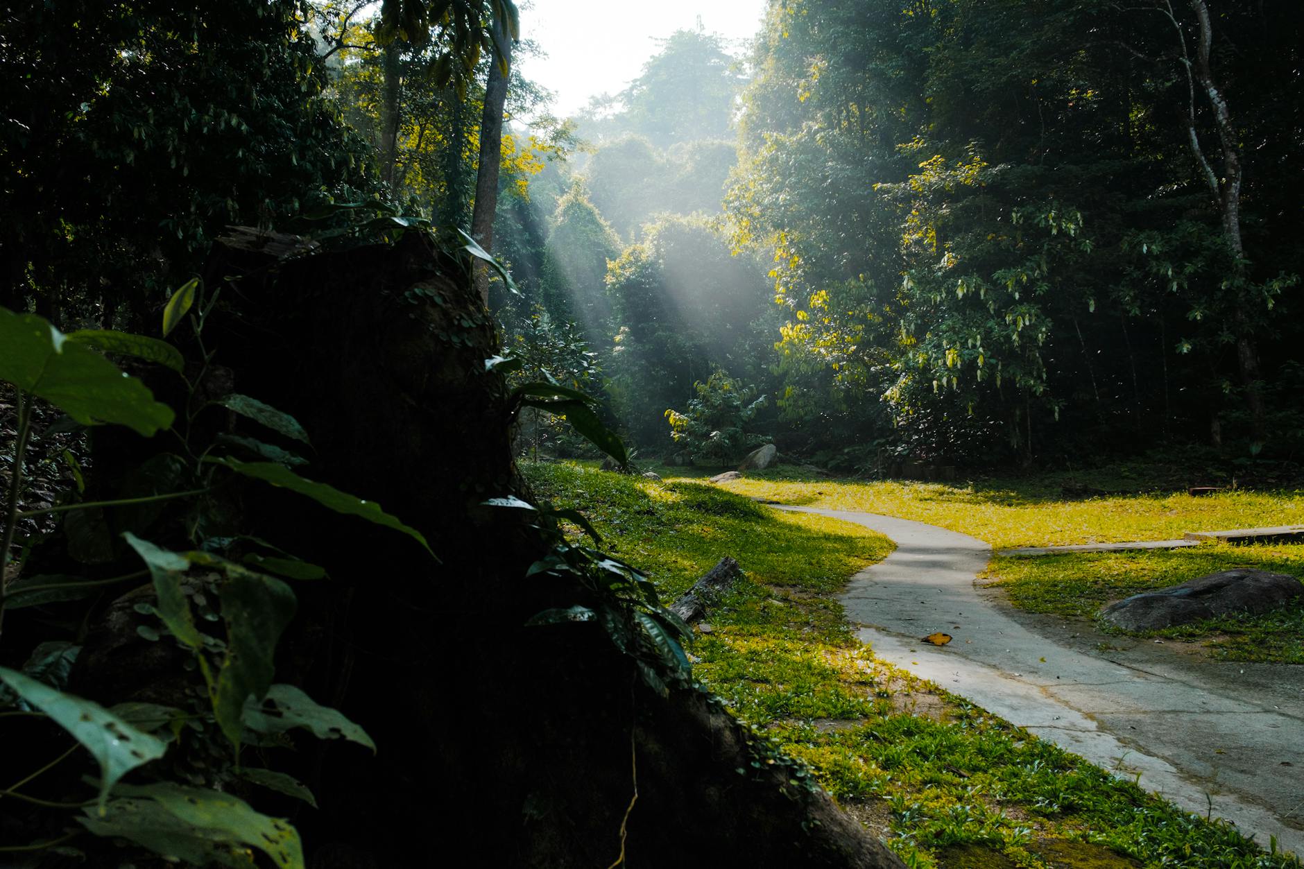 Penang outdoor risk and first-aid context.