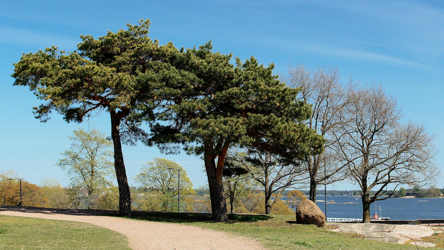 Kaivopuisto Park waterfront in Helsinki for older traveler recovery planning.