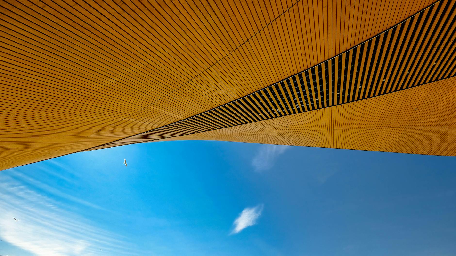 Modern Helsinki architecture for short student program planning.