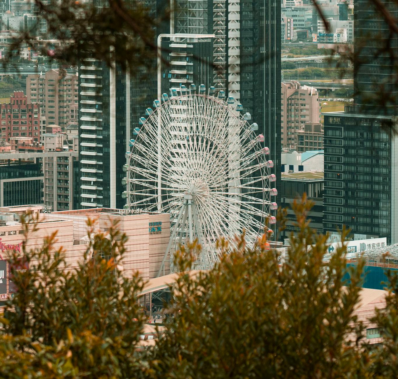 Kaohsiung urban skyline and high-comfort pacing context.