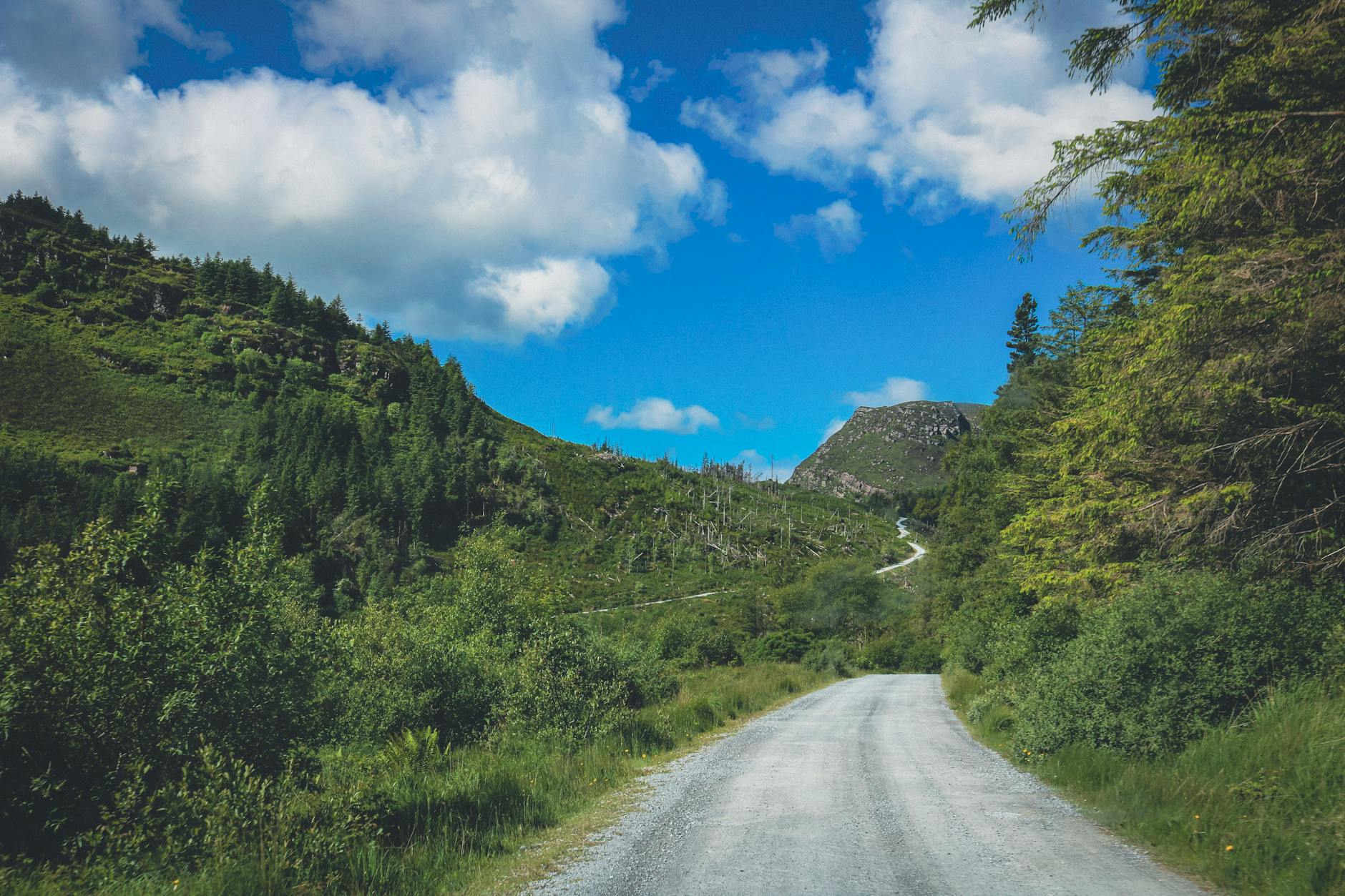 A picturesque road flanked by lush greenery under a vibrant blue sky in County Kerry, Ireland.