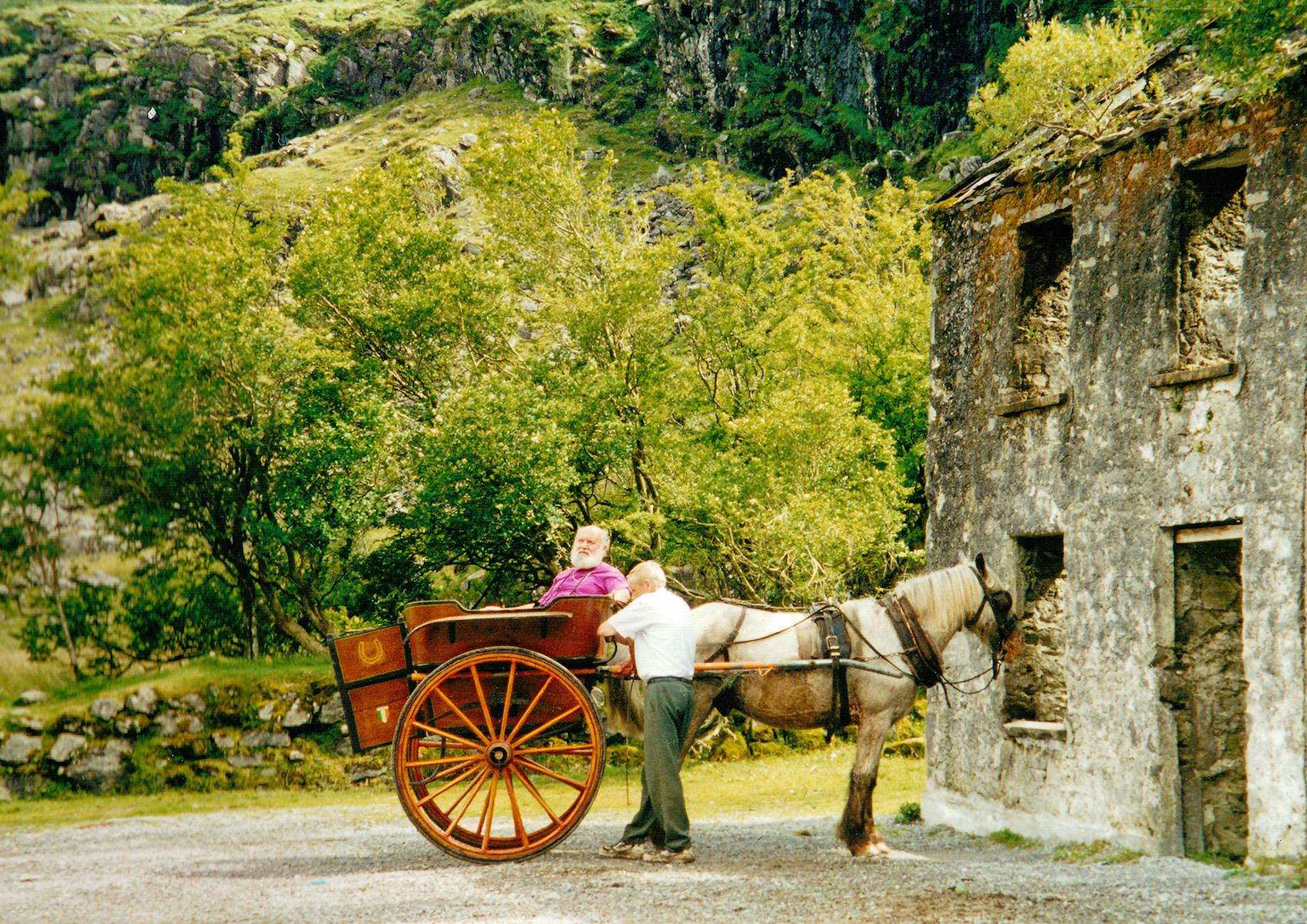 Charming scene of a horse-drawn carriage near historic ruins in scenic Irish countryside.