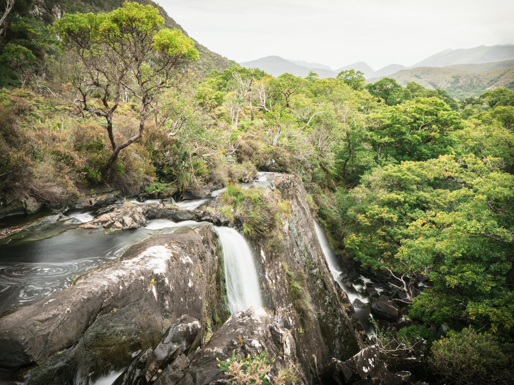 A picturesque waterfall cascades through vibrant green forest in Killarney National Park, Ireland.