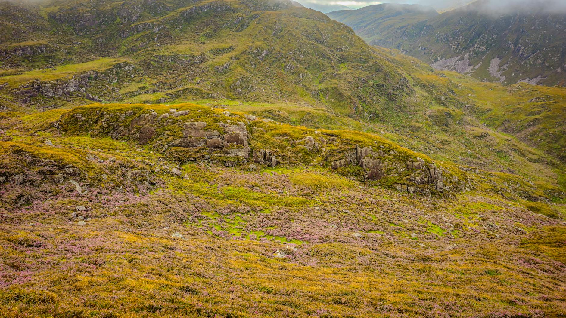 Explore the vibrant, rolling hills of Killarney, Ireland, with lush greens and purple heather.